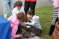 Camp and Walk photos 247